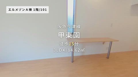 動画
