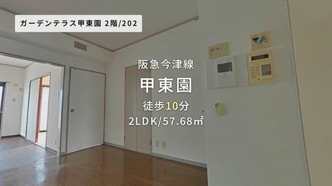 動画