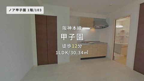 動画