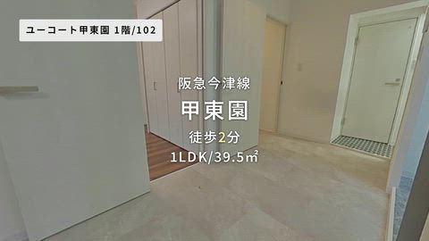 動画