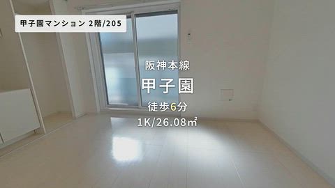動画