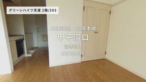 動画