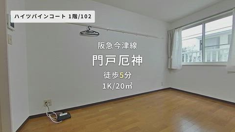 動画