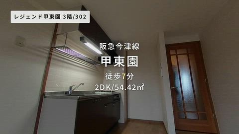 動画