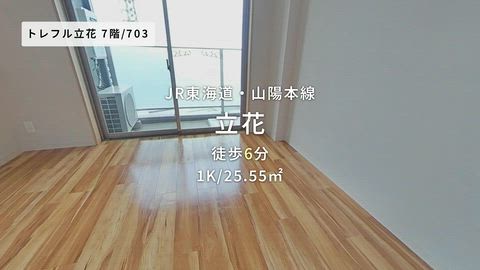 動画