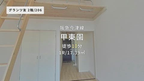 動画