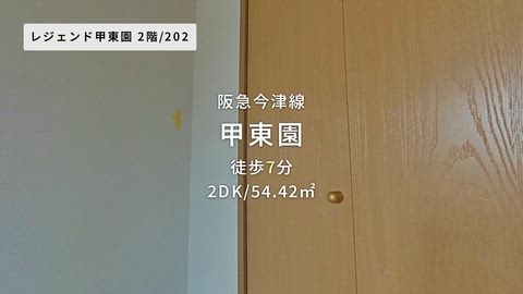 動画