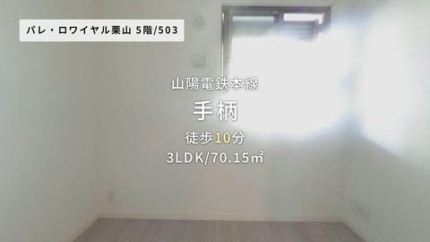 紹介ムービー