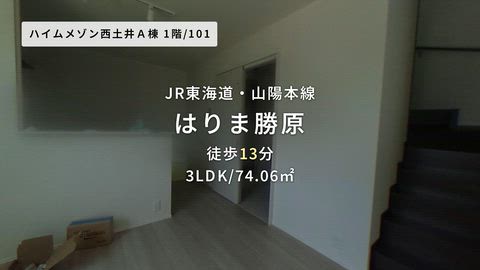 動画
