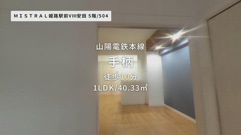 動画