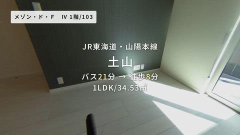 動画