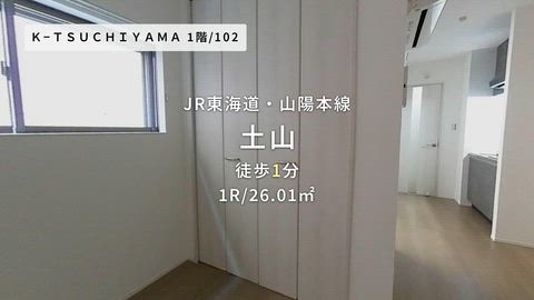 動画