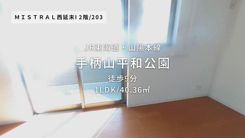動画