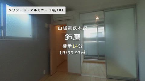 動画