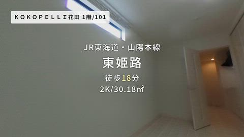 動画