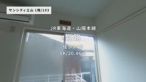 動画