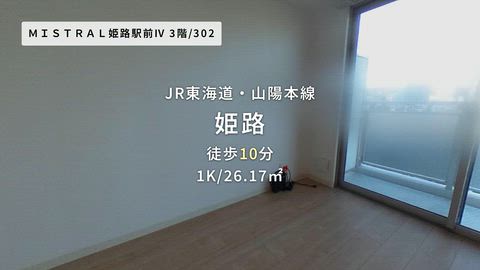 動画