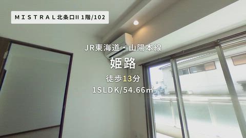 動画