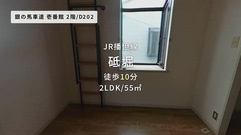 動画